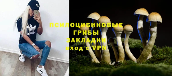 крисы Балахна