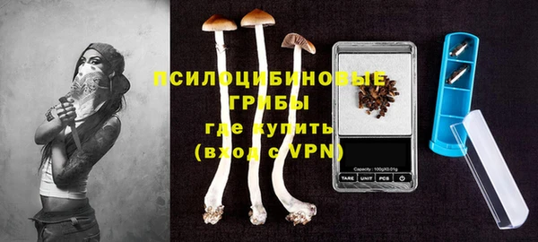 крисы Балахна